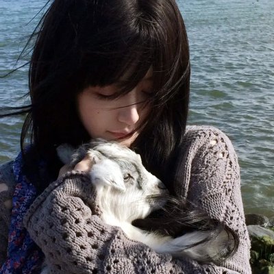 三只小猪
